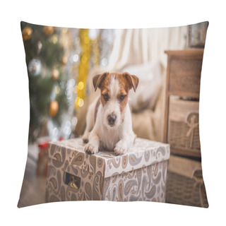 Personality  Dog Christmas, New Year, Jack Russell Terrier Pillow Covers