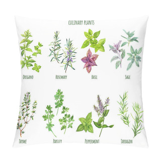 Personality  Set Of Watercolor Cooking Herbs, Mediterranean Cuisine Pillow Covers