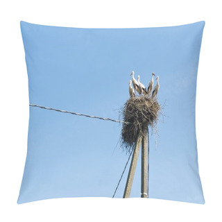 Personality  Many Storks In The Nest Ion Sunny Summer Day, Storks Family, Baby Bird, Many Birds In The Nest, Storks, Migration, Birds Migration, Huge Nest And 5 Storks Pillow Covers