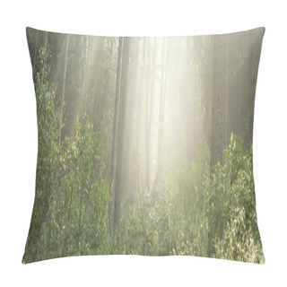 Personality  Panoramic View Of Majestic Green Deciduous And Pine Forest In A Morning Fog. Tree Silhouettes. Sun Rays, Pure Sunlight. Atmospheric Dreamlike Summer Landscape. Nature, Ecology, Fantasy, Fairytale Pillow Covers