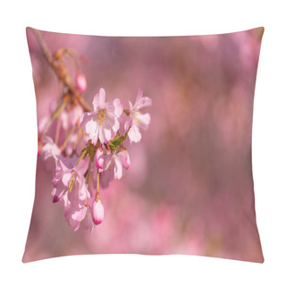 Personality  Spring Cherry Blossoms, Pink Flowers. Beautiful Cherry Blossom Sakura In Spring Time Over Blue Sky. Dream Nature Closeup, Pink Purple Blurred Spring Flowers, Sunny Sunset Scene. Beauty In Nature, Seasonal Springtime Floral Backdrop. Pillow Covers