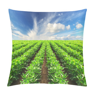 Personality  Rows On Field Pillow Covers