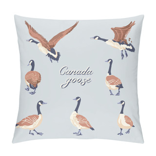 Personality  Canada Geese. Hand-drawn Set Of Birds. Vintage Collection. Vector Illustration. Pillow Covers