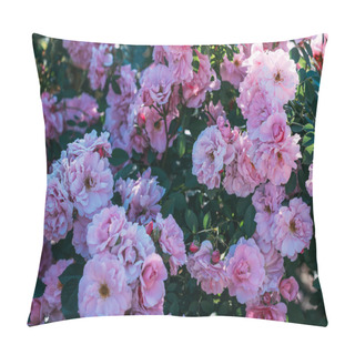 Personality  Close Up View Of Pink Rose Bush Pillow Covers
