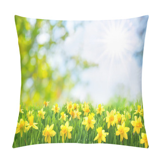 Personality  Spring Easter Background Pillow Covers