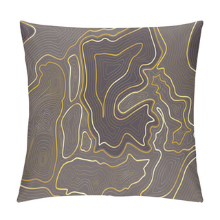 Personality  Topographic Map Colorful Abstract Background With Contour Altitude Lines. The Stylized Height Of The Topographic Map Contour In Lines And Contours. Pillow Covers