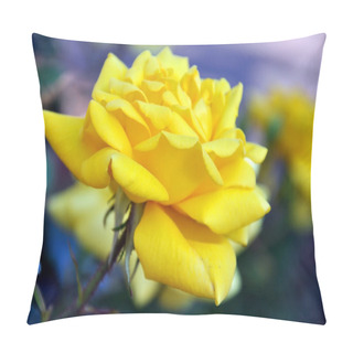 Personality  Beautiful Yellow Gold Bunny Climbing Roses Pillow Covers