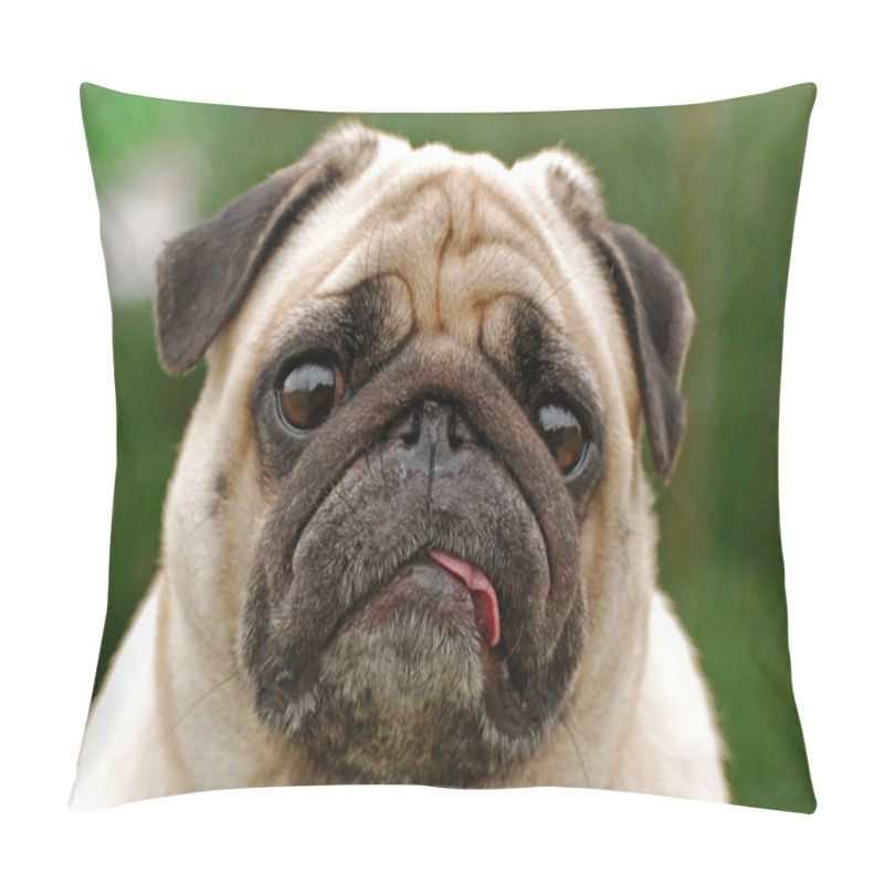 Personality  Pug pillow covers