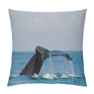 Personality  Whale Jumping In The Air Pillow Covers