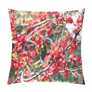 Personality  Red Japanese Quince Pillow Covers