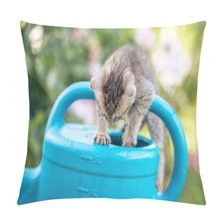 Personality  Baby Kitten Playing In Garden Pillow Covers