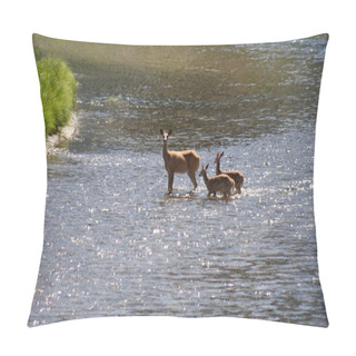 Personality  Deer Mother And  Babies Standing In Creek Pillow Covers