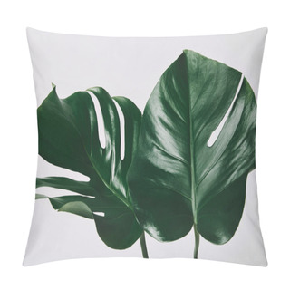 Personality  Beautiful Green Monstera Leaves Isolated On White Pillow Covers