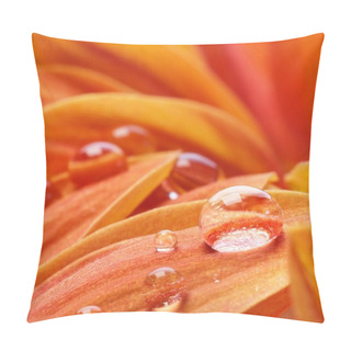 Personality  Orange Flower Petals With Water Drops On It Pillow Covers