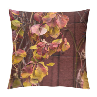 Personality  Close Up View Of Colorful Autumnal Leaves Near Red Wall  Pillow Covers