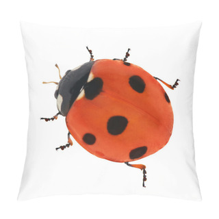 Personality  Red Seven Ponts Ladybird Pillow Covers