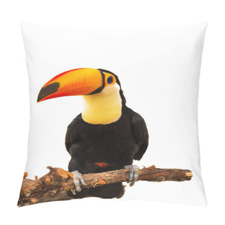 Personality  Colorful Toucan On The Branch Pillow Covers