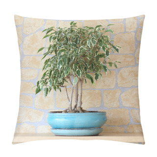 Personality  Ficus Benjamina Pillow Covers