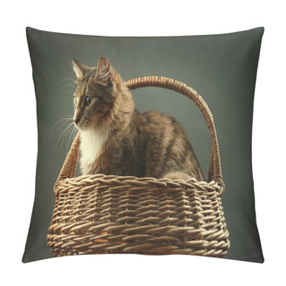 Personality  Cat In Basket Pillow Covers