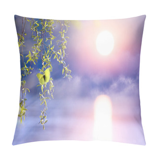 Personality  Abstract Spring Background Pillow Covers