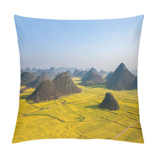 Personality  Canola Flower Luoping Rooster Under The Peak Pillow Covers