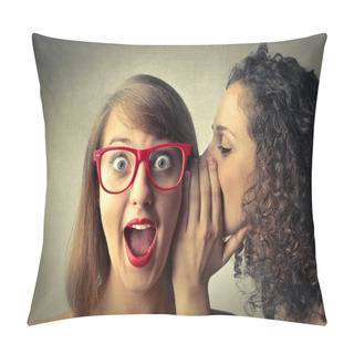 Personality  Whisperer Pillow Covers