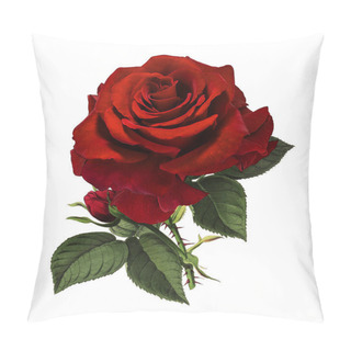 Personality  Roses Isolated On White Background Pillow Covers