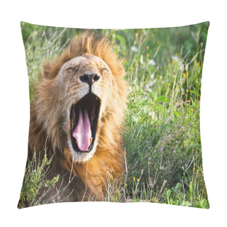 Personality  African Lion Yawning Pillow Covers