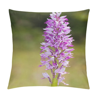 Personality  Orchid Militaris, Military Orchid Pillow Covers