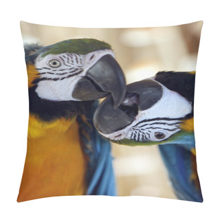 Personality  Colorful Ara Birds  Pillow Covers