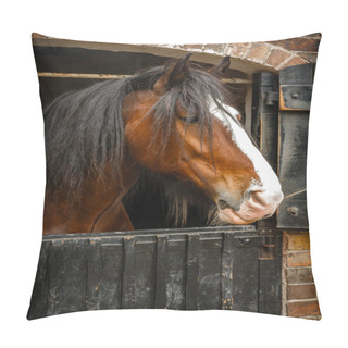 Personality  Horse Closeup Pillow Covers