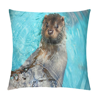 Personality  The Common River Otter Swims In A Pool Of Turquoise Water. Zoo Of Nizhny Novgorod Russia. Animal From The Red Book Pillow Covers