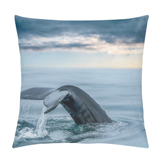 Personality  Keporkak, Humpback Whale, Tail In The Sea Of Northern Iceland's Husavik With Soft Light Below The Clouds On The Horizon. Megaptera Novaeangliae In Its Natural Habitat. Pillow Covers