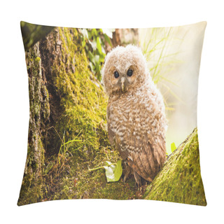 Personality  Tawny Owl Pillow Covers
