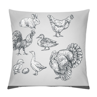 Personality  Set Of Domestic Animals Cock, Hen, Turkey, Rabbit, Duck, Goose. Vector Illustration Pillow Covers
