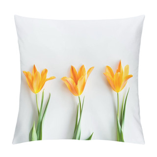 Personality  Yellow Tulips In Row Pillow Covers