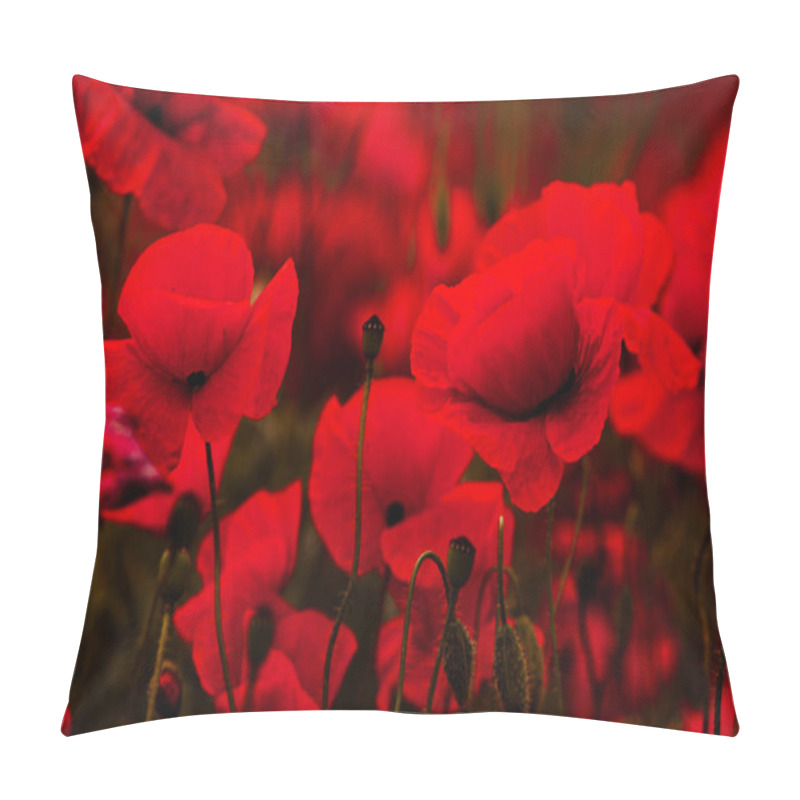 Personality  Beautiful Field Of Red Poppies In The Sunset Light. Close Up Of Red Poppy Flowers In A Field. Red Flowers Background. Beautiful Nature. Landscape. Romantic Red Flowers. Pillow Covers