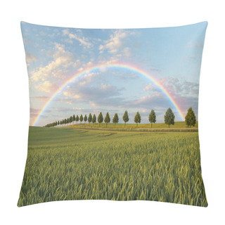 Personality  Rainbow,trees On A Spring Field Pillow Covers