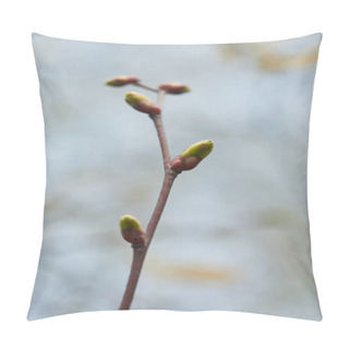 Personality  Close Up Of Tree Branch With Closed Buds On Blurred Background Pillow Covers