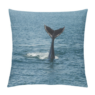 Personality  A Young Humpback Whale (Megaptera Novaeangliae) Waves Its Tail F Pillow Covers