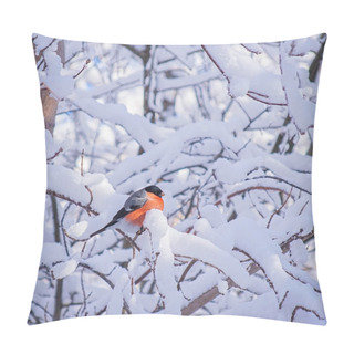 Personality  Reddish Chest Bullfinch On A Snow Winter Day Sitting On A Tree Branch. Pillow Covers