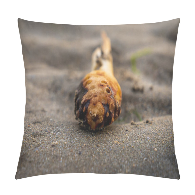 Personality  Close-up Of A Dead Fish Washed Up On A Beach Pillow Covers