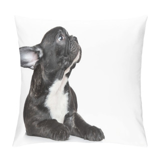 Personality  French Bulldog Puppy Looking Up Pillow Covers