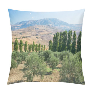Personality  Inland  Landscape Of Sicily In Summer Day, Sicily Island Italy Pillow Covers