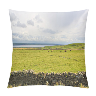 Personality  Cows In Meadow Pillow Covers
