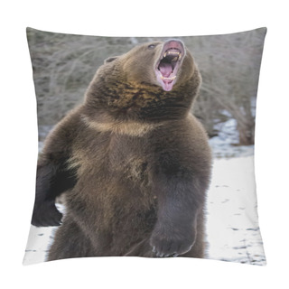 Personality  North American Ninja Bear Pillow Covers