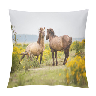 Personality  Beautiful Wild Horses On Nature  Pillow Covers