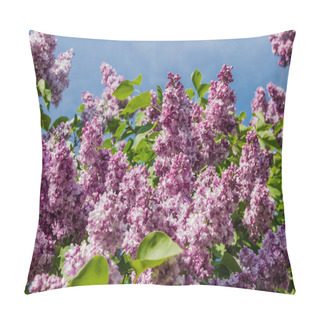 Personality  Lilac Bush With Pale Purple Flowers Pillow Covers