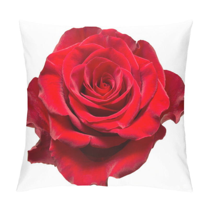 Personality  rose flower pillow covers