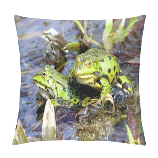Personality  Green Water Frog Pillow Covers